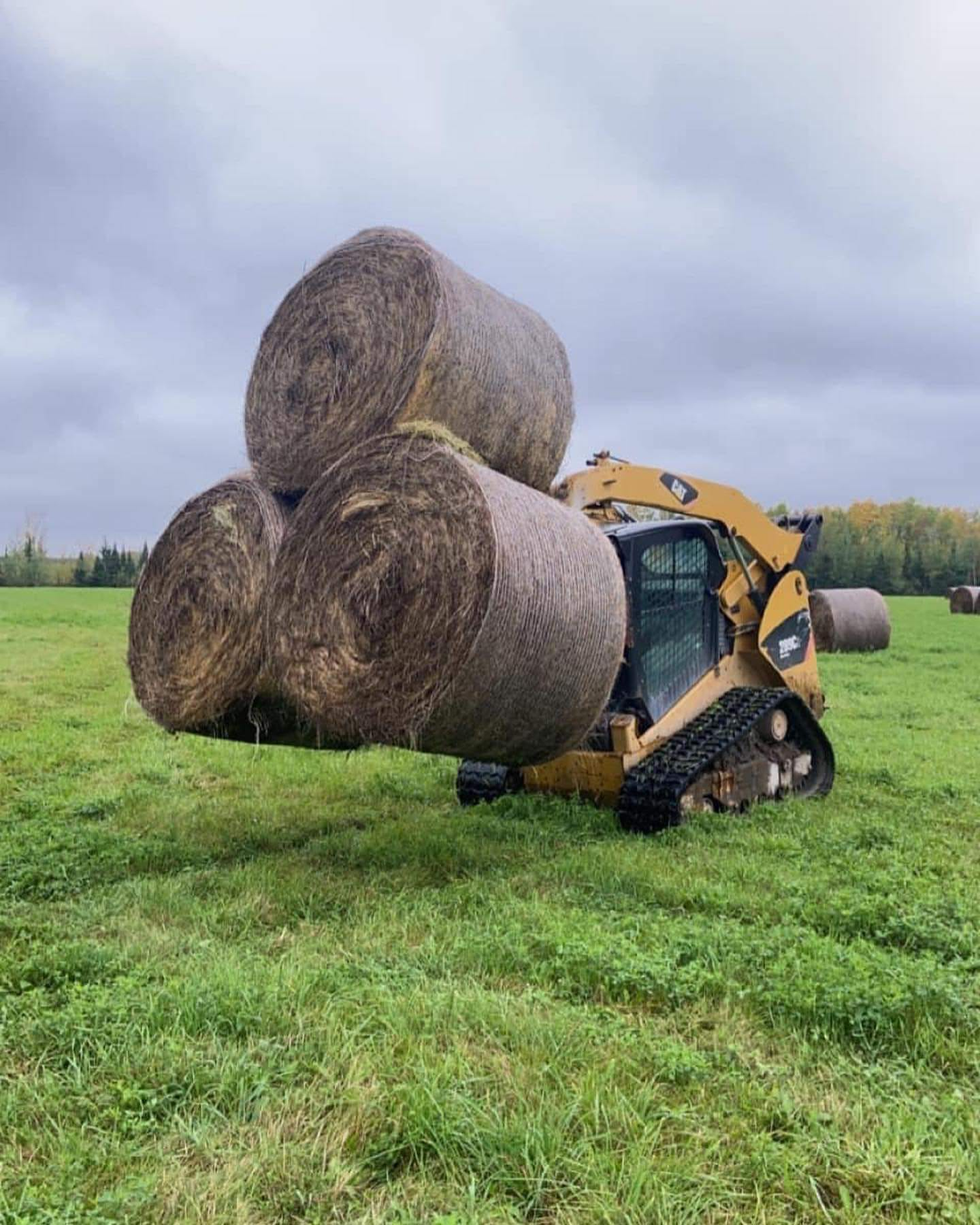 LTM hay spear bale spear