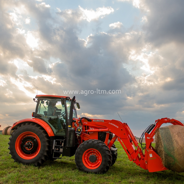 Tractor rake tines