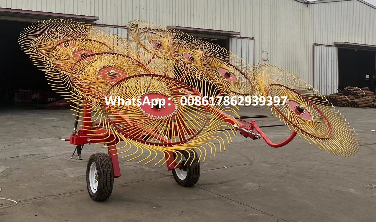 Efficient Forage Management Expert: Comprehensive Analysis of Shandong LTM's Pointer-Type Rakes